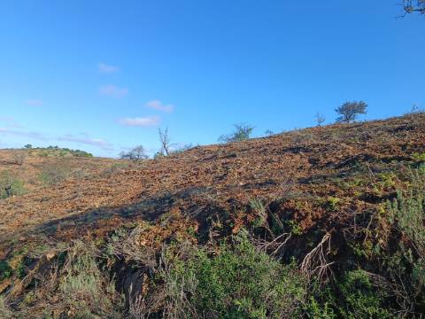 TERRENO COM 31.200 M2 - POSSIBILIDADE DE CONSTRUÇÃO DE ARMAZÉM - APOIO AGRÍCOLA - FERNÃO GIL - ODELEITE - CASTRO MARIM