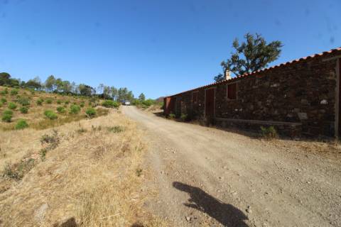 Terreno Misto