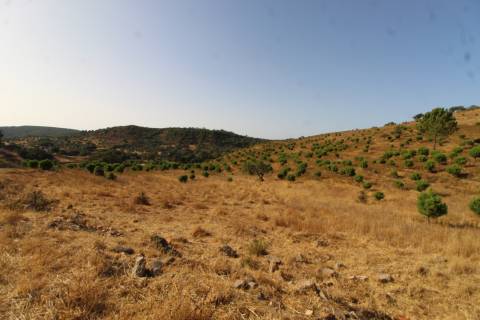 Terreno Misto