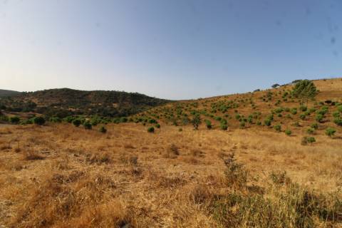 Terreno Misto