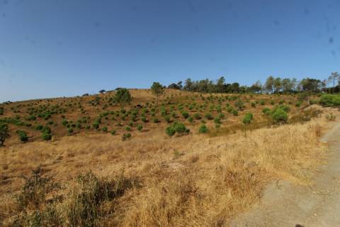 Terreno Misto