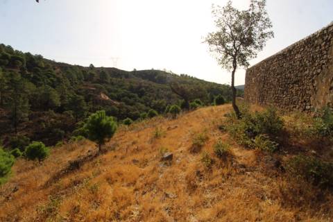Terreno Misto