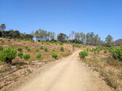 Terreno Misto