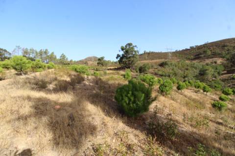 Terreno Misto