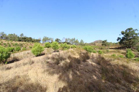 Terreno Misto