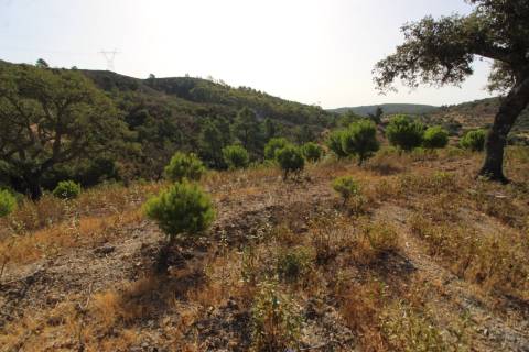 Terreno Misto