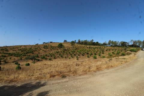 Terreno Misto