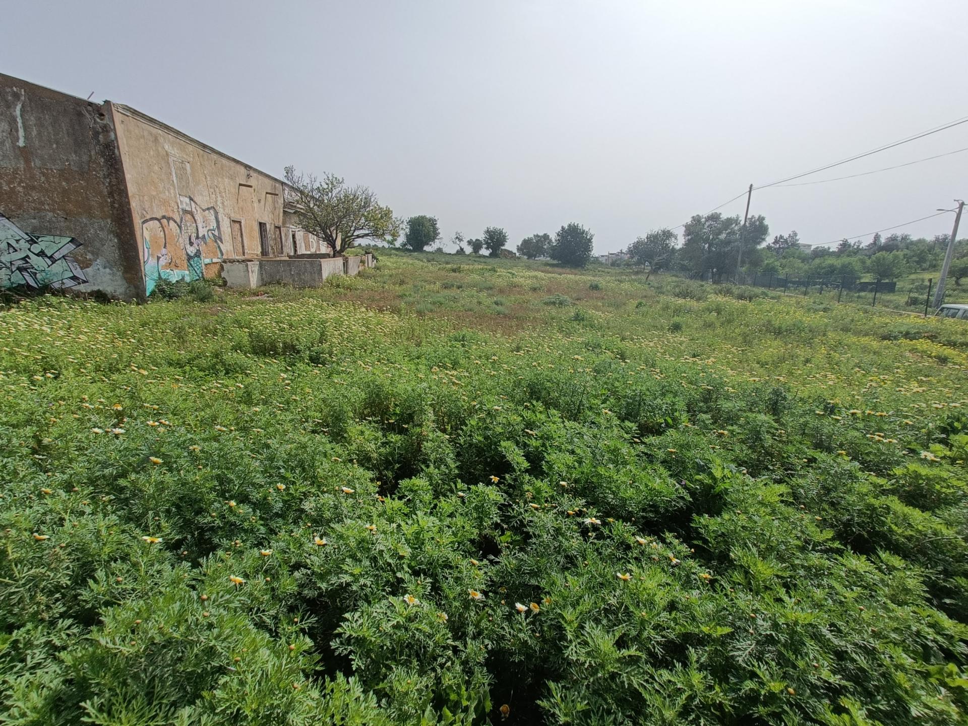 Terreno para construção de moradia com Vista Mar.