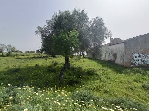 Terreno para construção de moradia com Vista Mar.