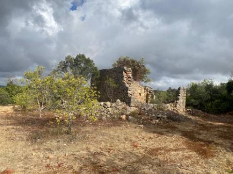 Terreno Misto