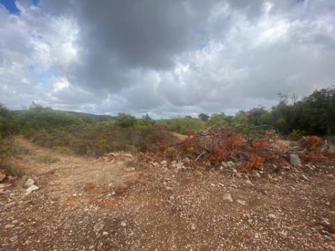 Terreno Misto