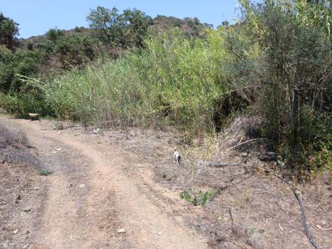 TERRENO COM 1.360 M2 - JUNTO A ALMADA D OURO EM CASTRO MARIM - ALGARVE