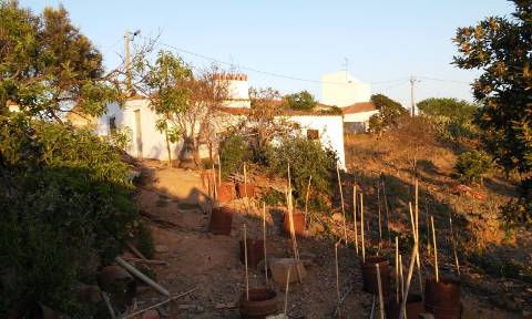 Excelente oportunidade! terreno urbano com 7.880m2 em Portela Alta de Cima, Odeleite.