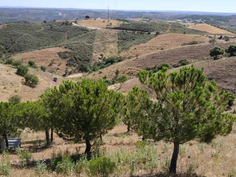 TERRENO RÚSTICO COM 20.000 M2 - VISTA LAGO - NO CERRO DO ENHO EM CASTRO MARIM - ALGARVE