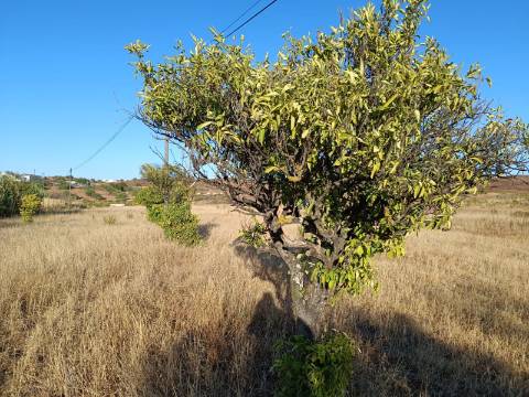 TERRENO COM ARMAZÉM - RUINA - NORA - FURO - COM 77.630 M2 - CONSTRUÇÃO DE MORADIA E TURISMO - MALHÃO - CASTRO MARIM - ALGARVE