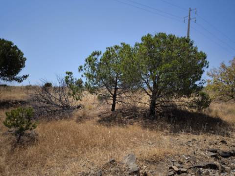 RUINA COM TERRENO - COM PIP APROVADO PARA MORADIA T3 COM PISCINA - VISTA MAR - VILA NOVA DE CACELA - VRSA - ALGARVE