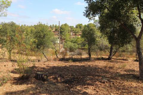 TERRENO COM 113.000 M2 - COM ÁGUA - ELETRICIDADE - ESTUFAS - PARA CONSTRUÇÃO - HABITAÇÃO E TURISMO - EM ODELEITE - CASTRO MARIM - ALGARVE