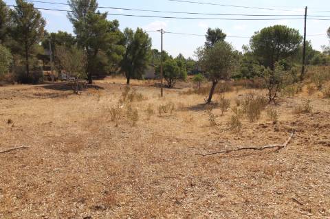 TERRENO COM 113.000 M2 - COM ÁGUA - ELETRICIDADE - ESTUFAS - PARA CONSTRUÇÃO - HABITAÇÃO E TURISMO - EM ODELEITE - CASTRO MARIM - ALGARVE