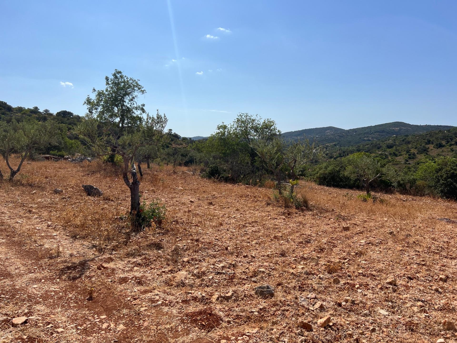 Oportunidade de Ouro em São Brás de Alportel : Terreno de 6,1 Hectares para Construção de Hotel de Turismo Rural