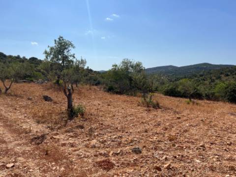 Oportunidade de Ouro em São Brás de Alportel : Terreno de 6,1 Hectares para Construção de Hotel de Turismo Rural