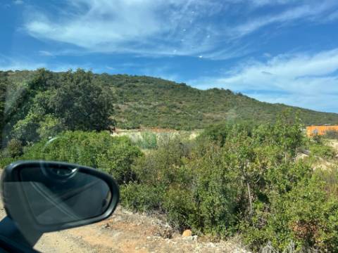 Oportunidade de Ouro em São Brás de Alportel : Terreno de 6,1 Hectares para Construção de Hotel de Turismo Rural