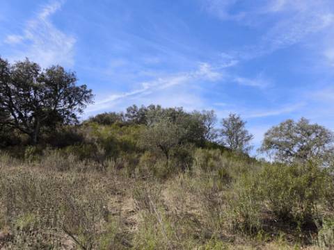 TERRENO RUSTICO COM 2.155 M2 - JUNQUEIRA - BELICHE - CASTRO MARIM - ALGARVE