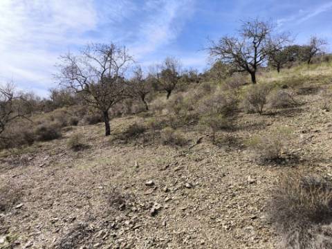 TERRENO RUSTICO COM 2.155 M2 - JUNQUEIRA - BELICHE - CASTRO MARIM - ALGARVE