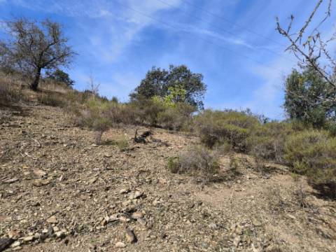 TERRENO RUSTICO COM 2.155 M2 - JUNQUEIRA - BELICHE - CASTRO MARIM - ALGARVE
