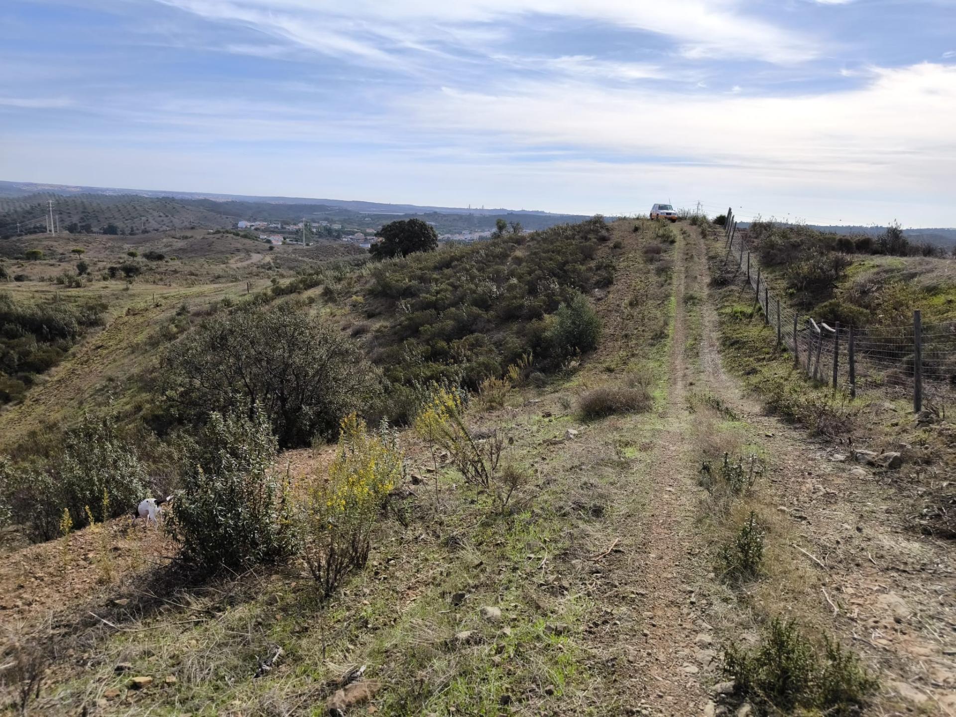 TERRENO RUSTICO COM 7.360 M2 - BELICHE - EM CASTRO MARIM - ALGARVE