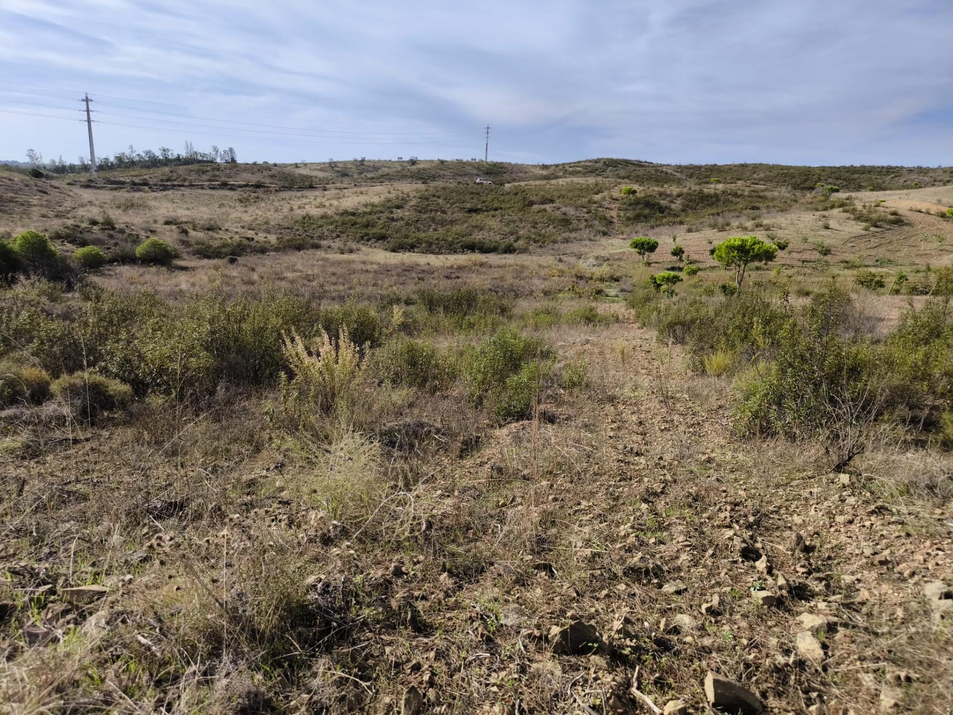 TERRENO RUSTICO COM 7.360 M2 - BELICHE - EM CASTRO MARIM - ALGARVE