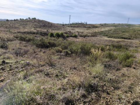 TERRENO RUSTICO COM 7.360 M2 - BELICHE - EM CASTRO MARIM - ALGARVE