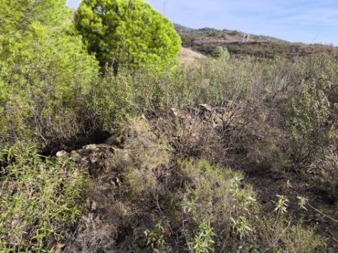TERRENO COM 21.000 M2 - COM POÇO - FIGUEIRAIS - BELICHE - CASTRO MARIM - ALGARVE