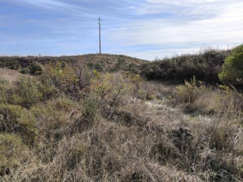 TERRENO COM 21.000 M2 - COM POÇO - FIGUEIRAIS - BELICHE - CASTRO MARIM - ALGARVE