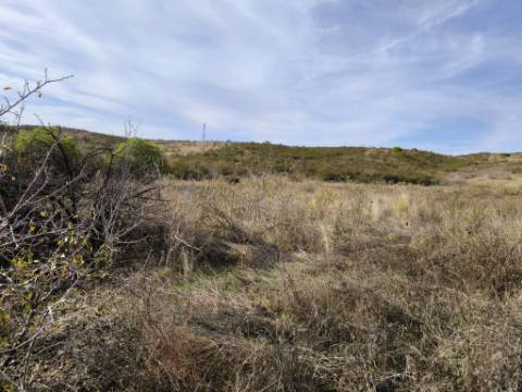 TERRENO COM 21.000 M2 - COM POÇO - FIGUEIRAIS - BELICHE - CASTRO MARIM - ALGARVE