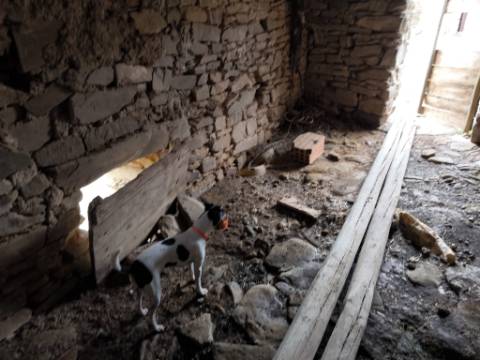 PROPRIEDADE COMPOSTA POR DUAS RUÍNAS - ÁREA TOTAL DE 249 M2 - VISTA MAR EM VALE DE EBROS - TAVIRA