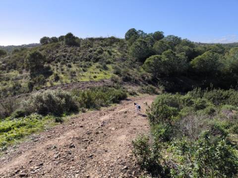 TERRENO COM 99.400 M2 - VISTA MAR - POSSIBILIDADE DE CONSTRUÇÃO - HABITAÇÃO E TURISMO - BOTELHAS - VALE ANDREU - CASTRO MARIM - ALGARVE