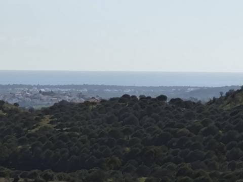 TERRENO COM 99.400 M2 - VISTA MAR - POSSIBILIDADE DE CONSTRUÇÃO - HABITAÇÃO E TURISMO - BOTELHAS - VALE ANDREU - CASTRO MARIM - ALGARVE