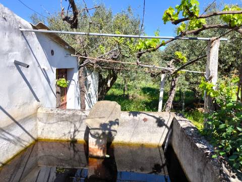 Terreno em Alcoutim, muito perto do Rio Guadiana, com viabilidade de construção