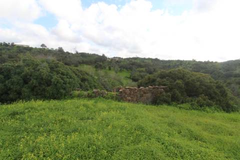 Terreno com 848 m2 de área, com uma ruína de 200 m2