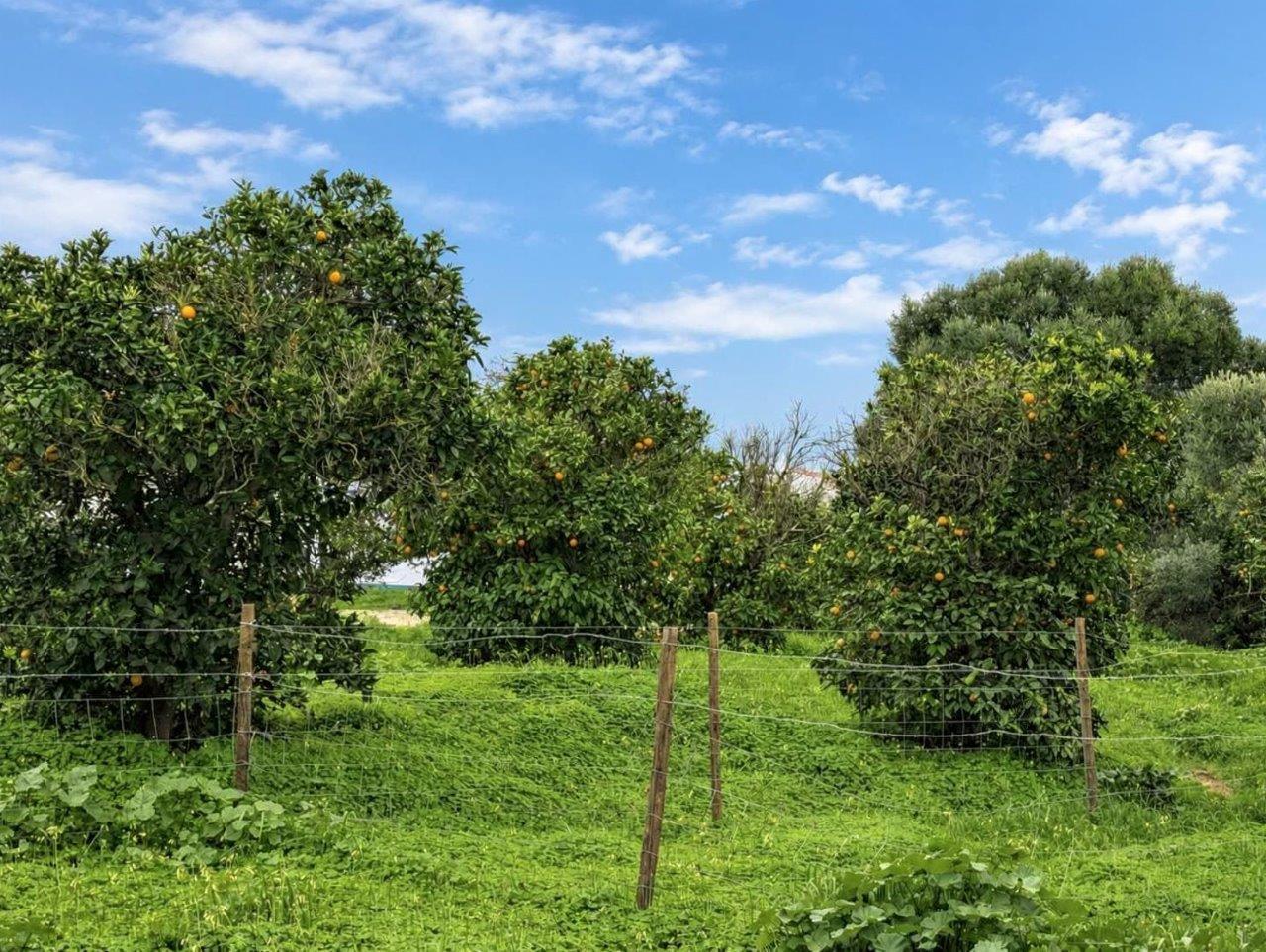 Terreno com 2660m² com PIP aprovado para construção de 15 Apartamentos situada no centro de Altura