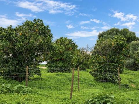 Terreno com 2660m² com PIP aprovado para construção de 15 Apartamentos situada no centro de Altura