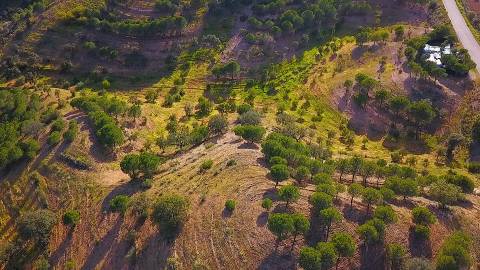 TERRENO COM 62.180 M2 - POSSIBILIDADE DE TURISMO RURAL - CONSTRUÇÃO PARA HABITAÇÃO - PRÓXIMO DA CORTE DO GAGO - CASTRO MARIM - ALGARVE