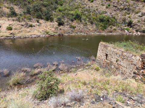 TERRENO COM 4.560 m2 - COM RUINA DE 100 M2 - ARRECADAÇÃO - JUNTO A BARRAGEM DO BELICHE - BARREIROS - CASTRO MARIM - ALGARVE