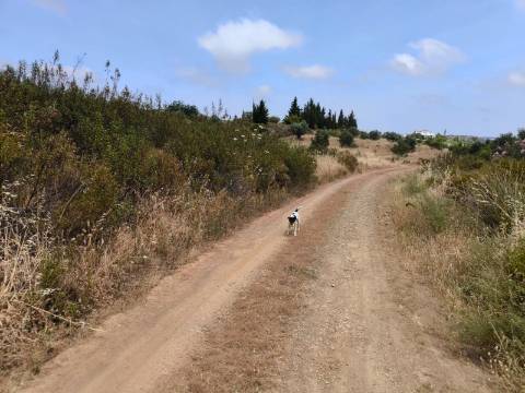 TERRENO COM 41.760 M2 - COM POSSIBILIDADE DE CONSTRUIR APOIO AGRICOLA - PISA BARRO - EM CASTRO MARIM - ALGARVE