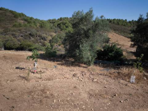 TERRENO RUSTICO COM 27.260 M2 - COM POÇO - COM POSSIBILIDADE DE CONSTRUÇÃO DE APOIO AGRICOLA - EM ODELEITE - CASTRO MARIM - ALGARVE