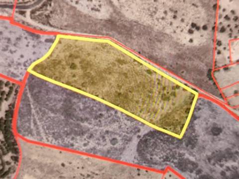 TERRENO COM 7.640 M2 JUNTO A ENTRADA DA ALDEIA DE CORTES PEREIRA - ALCOUTIM - ALGARVE