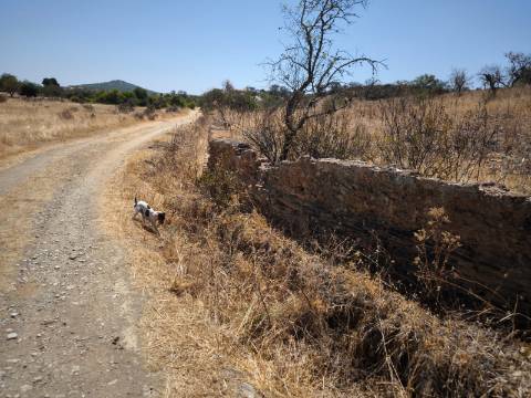 TERRENO COM 7.640 M2 JUNTO A ENTRADA DA ALDEIA DE CORTES PEREIRA - ALCOUTIM - ALGARVE