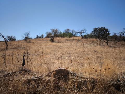 TERRENO COM 7.640 M2 JUNTO A ENTRADA DA ALDEIA DE CORTES PEREIRA - ALCOUTIM - ALGARVE