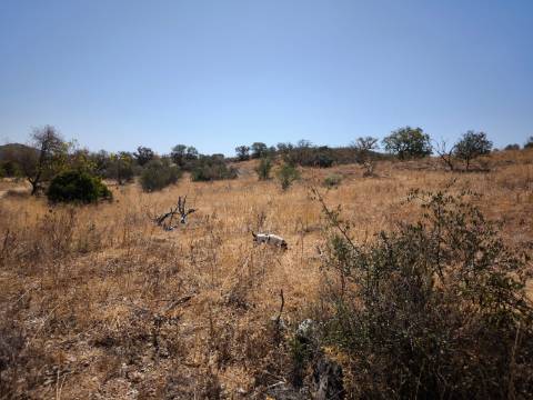 TERRENO COM 7.640 M2 JUNTO A ENTRADA DA ALDEIA DE CORTES PEREIRA - ALCOUTIM - ALGARVE
