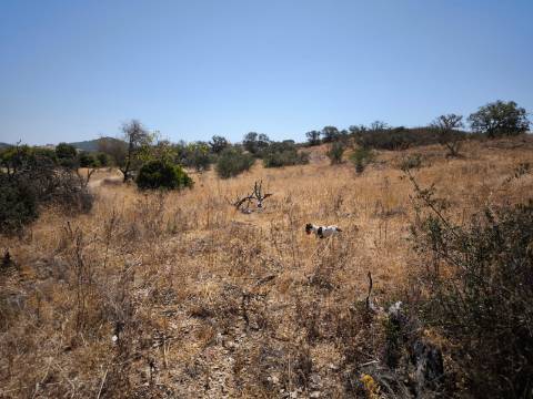 TERRENO COM 7.640 M2 JUNTO A ENTRADA DA ALDEIA DE CORTES PEREIRA - ALCOUTIM - ALGARVE